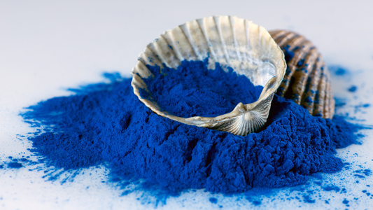 What is Blue Majik Algae Powder? - The Health Benefits of the Next Superfood