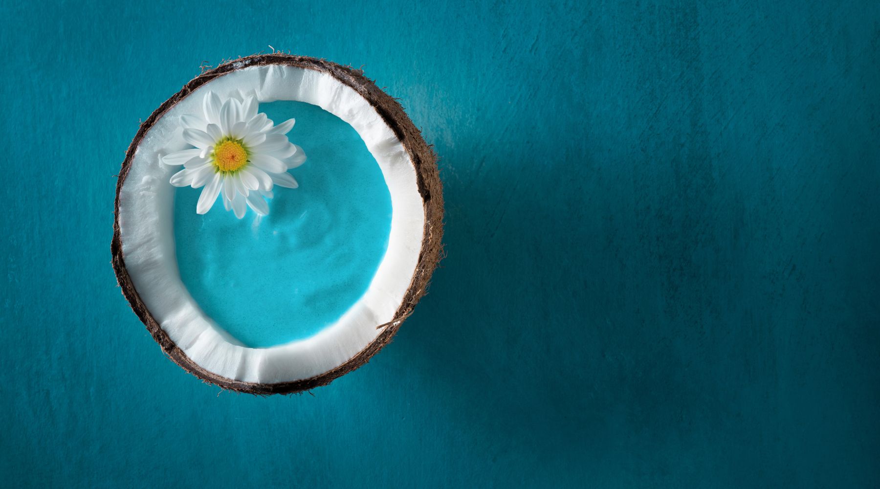 Half coconut filled with vibrant blue smoothie and a flower, representing BlueMAJIK superfood's antioxidant and anti-inflammatory benefits for health and vitality.